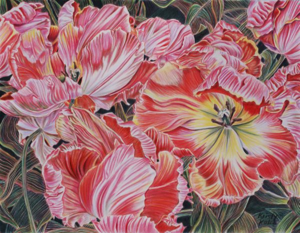 SOLD OUT! Colored Pencil with Kristy Kutch, April 20-22, 2018