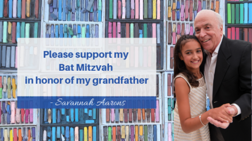 Savannah’s Mitzvah Project