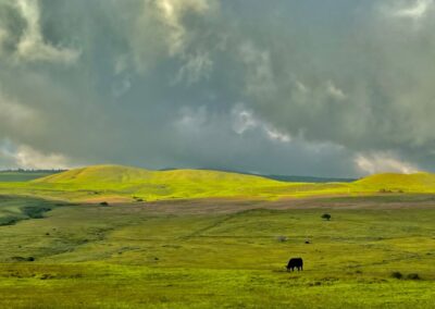 Big Island Hawaii Landscape