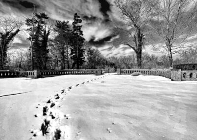 Path in the Snow